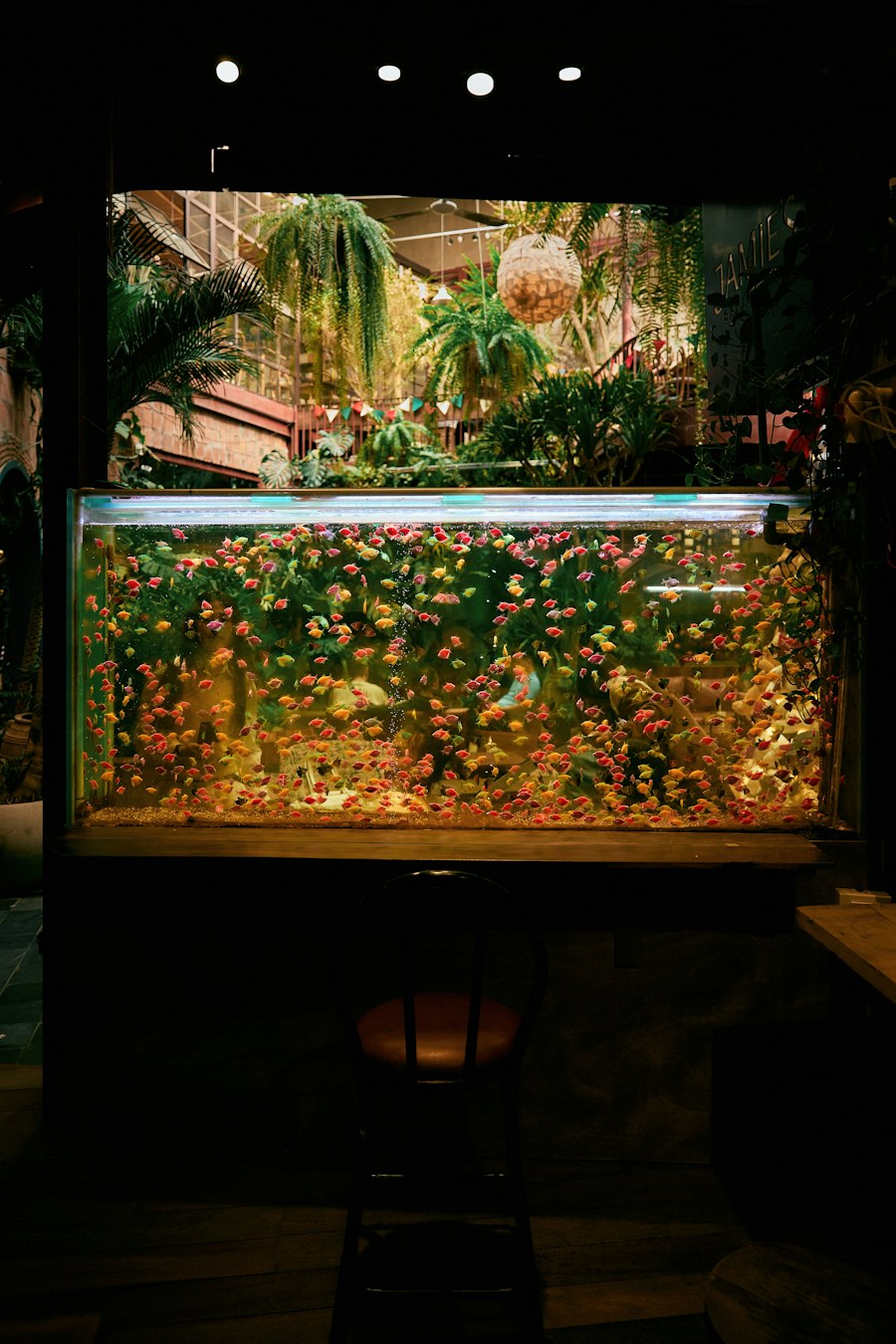Aquaristik